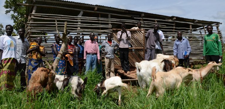 Ministry of Agriculture and Food Security South Sudan – Republic of ...